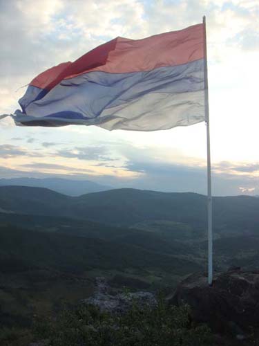 ����������� ���� 2009